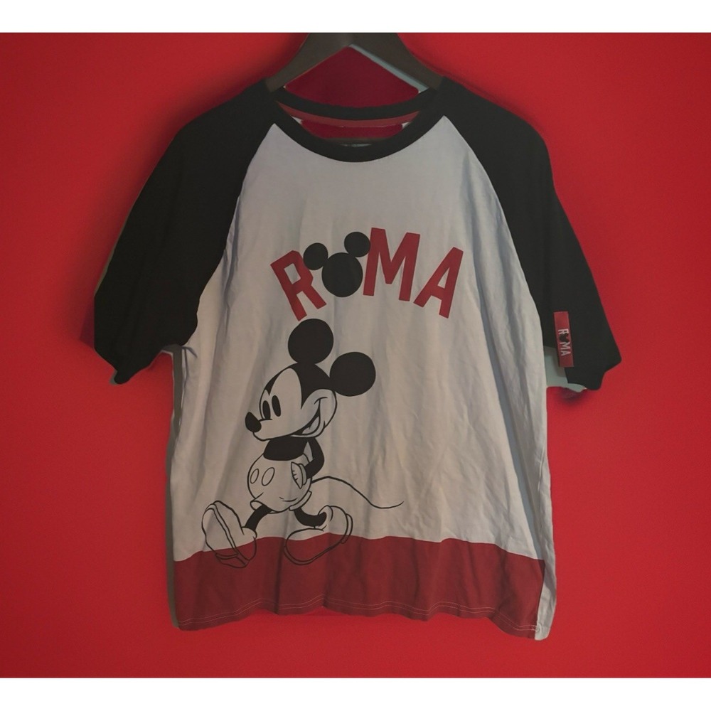 Disney Mens T-Shirt Size Large XL Walt Disney World Icon Short Sleeve Raglan